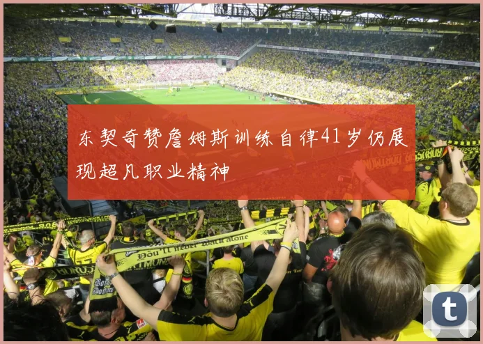 东契奇赞詹姆斯训练自律41岁仍展现超凡职业精神